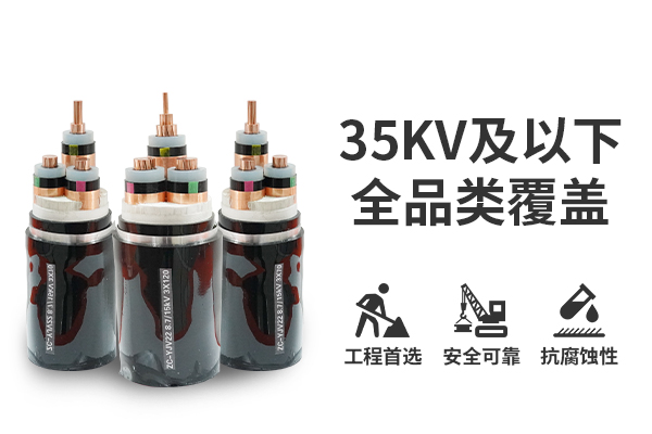 電纜