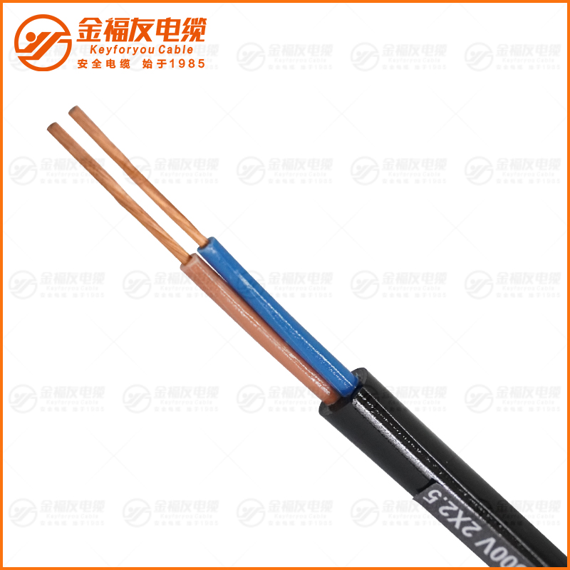 JHS防水橡套電纜 300-500V 2X2.5