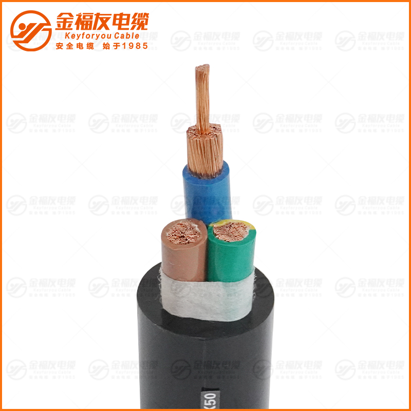YCW 耐油橡套電纜450-750V 3X50